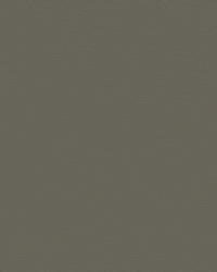 SAL-78