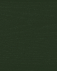 SAL-113
