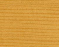 Pinia (sosna)